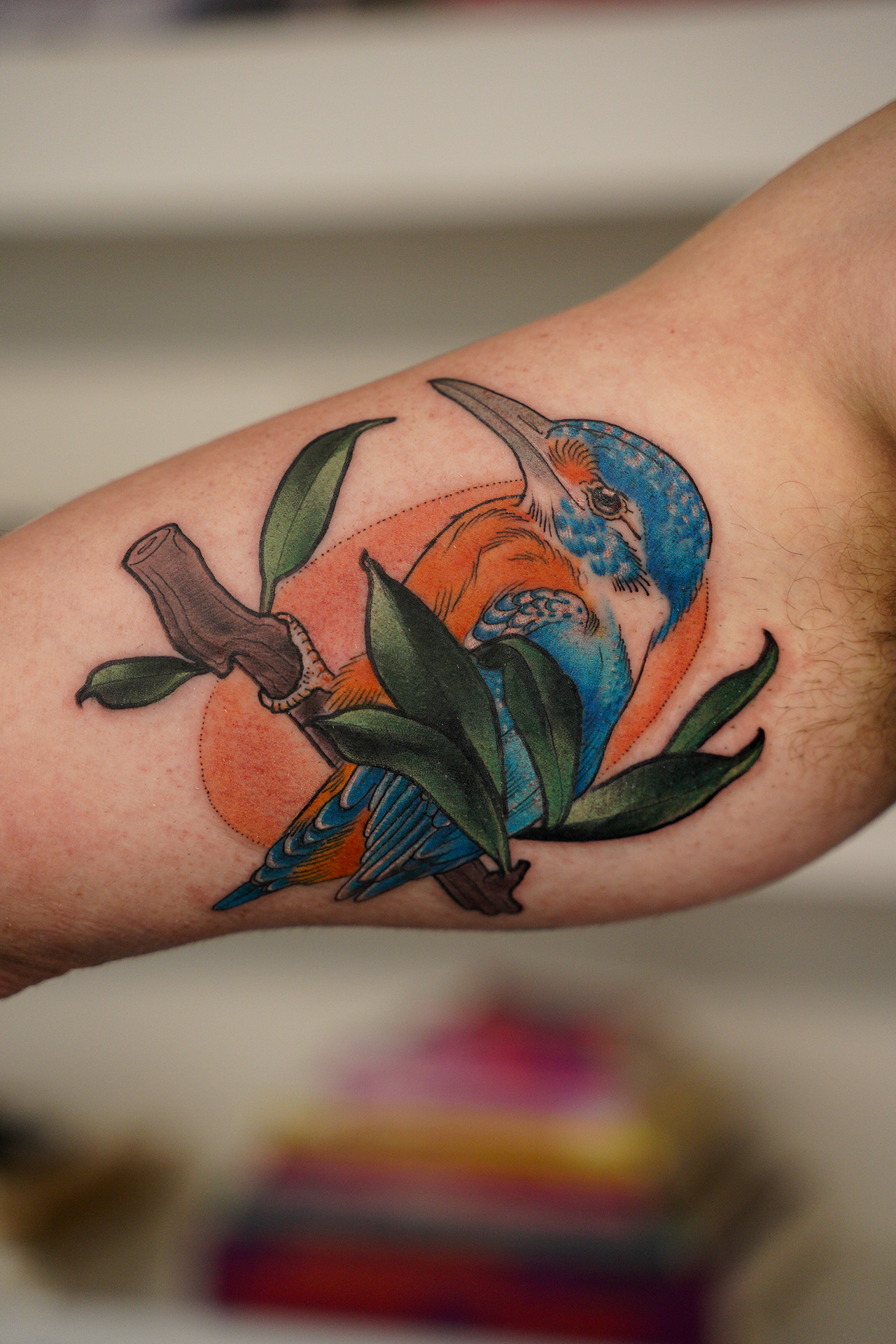 coverup bird kingfisher