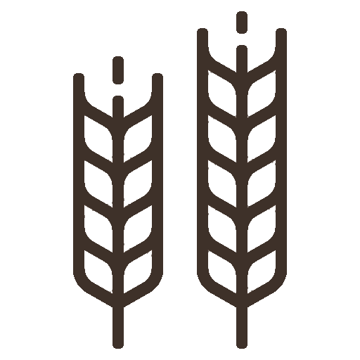 ICON FINDER 1 2